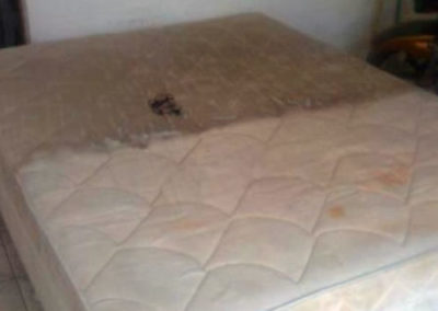 Higienização de Colchão em Fortaleza